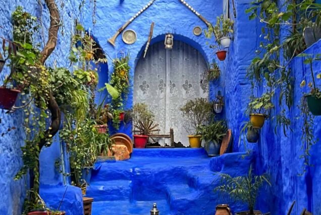 Chefchaouen Day Trip from Casablanca